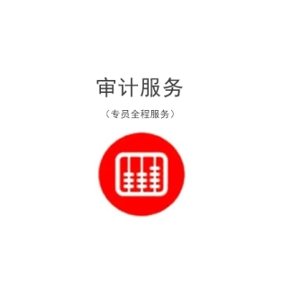 苏州财务审计报告