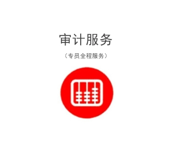 苏州财务审计报告