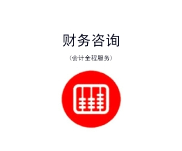 财务税务咨询